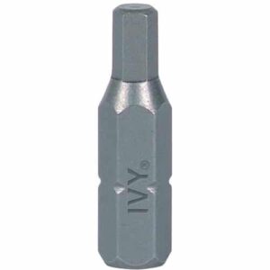 Torx Insert Bit 1 inch T8
