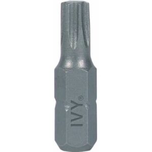 Torx Insert Bit 1 inch T15